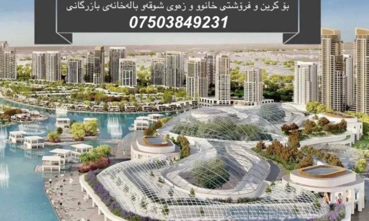 لم يتم العثور علي الصورة