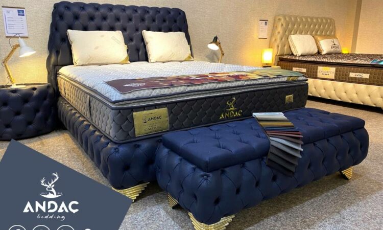لم يتم العثور علي الصورة