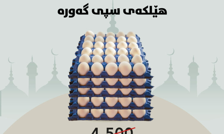 لم يتم العثور علي الصورة