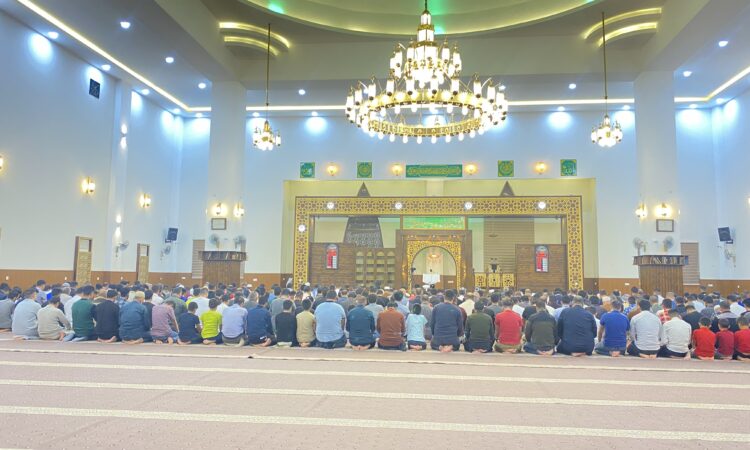 لم يتم العثور علي الصورة