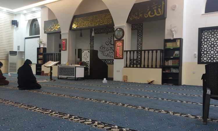 لم يتم العثور علي الصورة