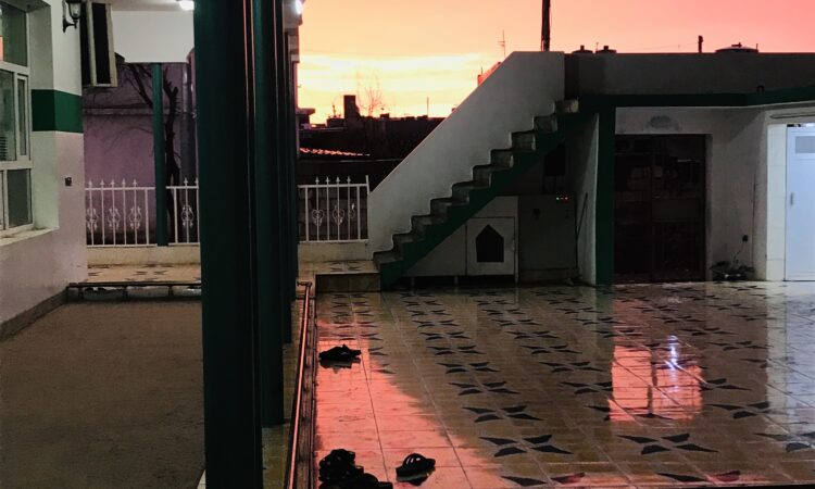 لم يتم العثور علي الصورة