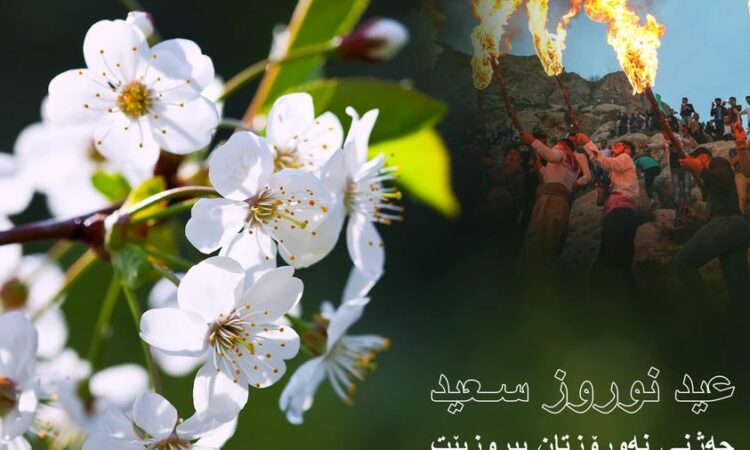 لم يتم العثور علي الصورة