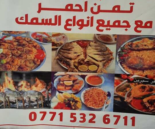 لم يتم العثور علي الصورة