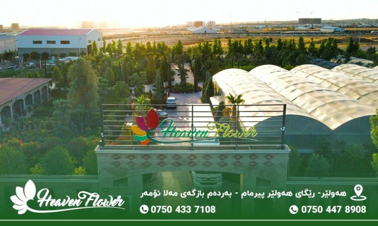 لم يتم العثور علي الصورة