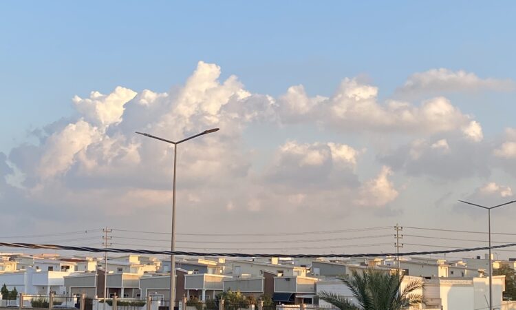 لم يتم العثور علي الصورة