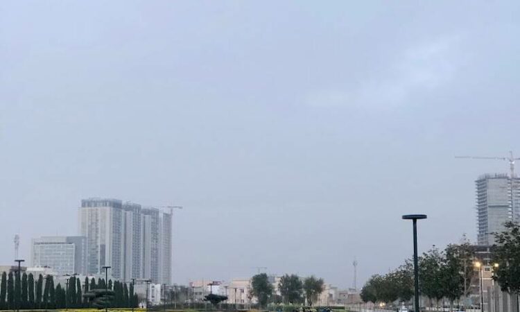 لم يتم العثور علي الصورة