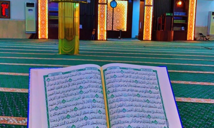 لم يتم العثور علي الصورة