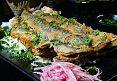 ركن الاسماك