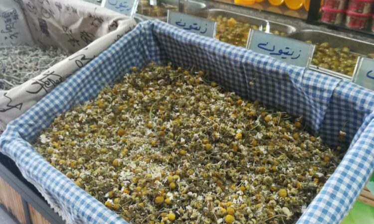 لم يتم العثور علي الصورة
