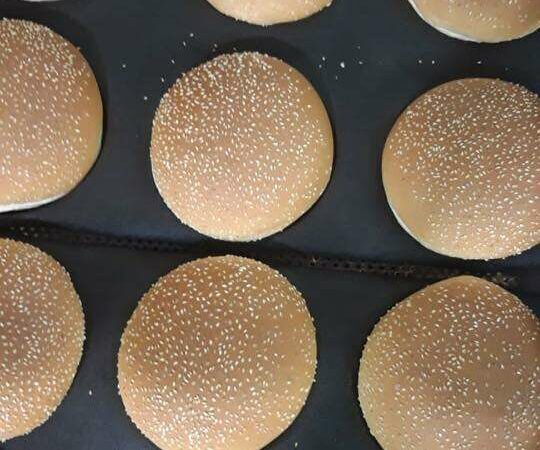 لم يتم العثور علي الصورة