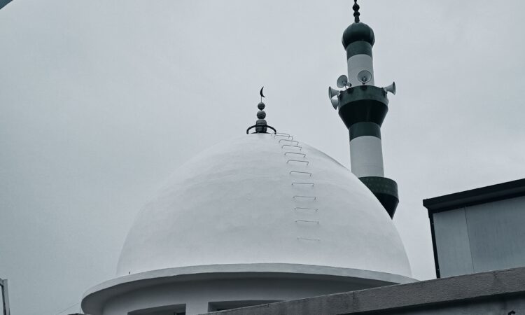 لم يتم العثور علي الصورة