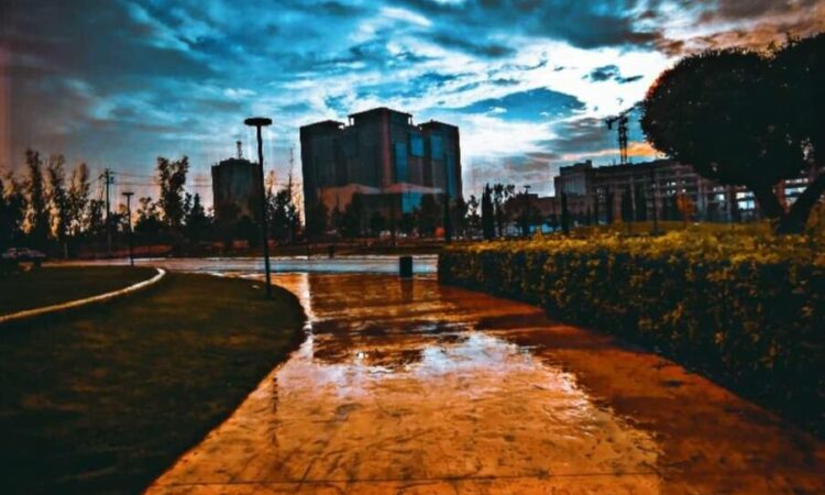 لم يتم العثور علي الصورة