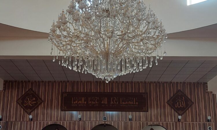 لم يتم العثور علي الصورة