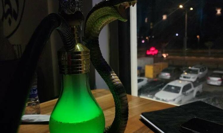 لم يتم العثور علي الصورة
