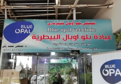 BLUE OPAL – بلو اوبال