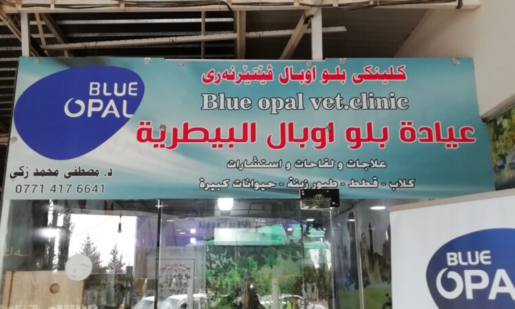 لم يتم العثور علي الصورة