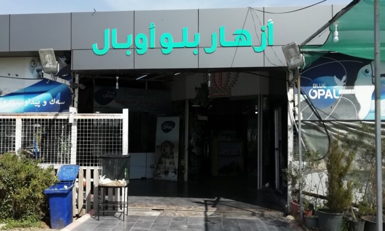 لم يتم العثور علي الصورة