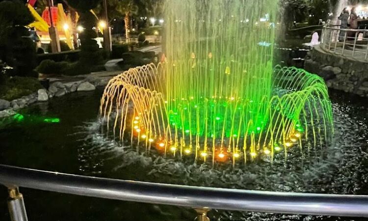 لم يتم العثور علي الصورة
