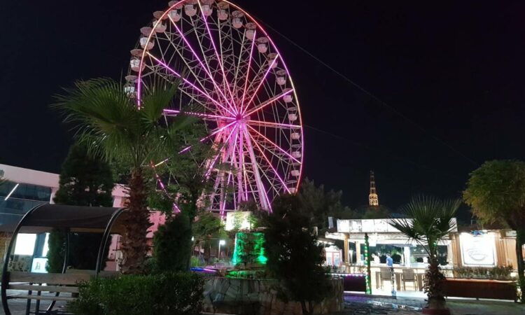 لم يتم العثور علي الصورة