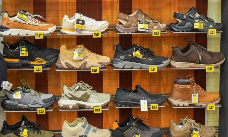 لم يتم العثور علي الصورة