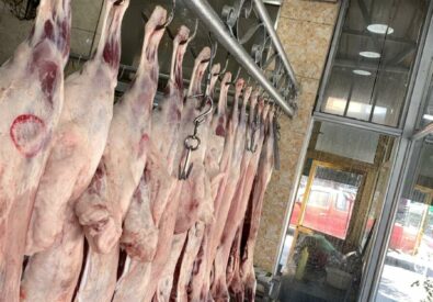 قصابة ومشويات ابو فراس الجبوري