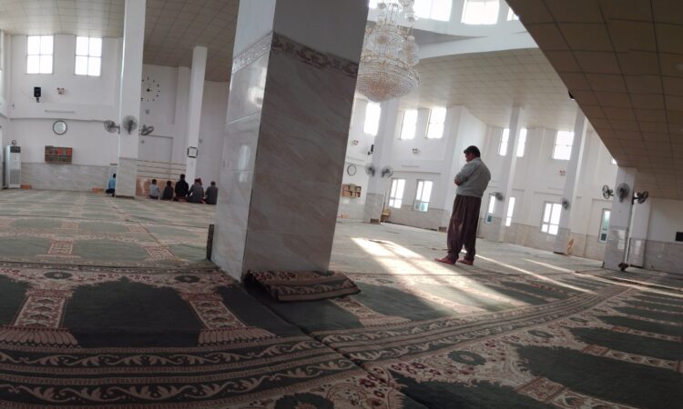 لم يتم العثور علي الصورة