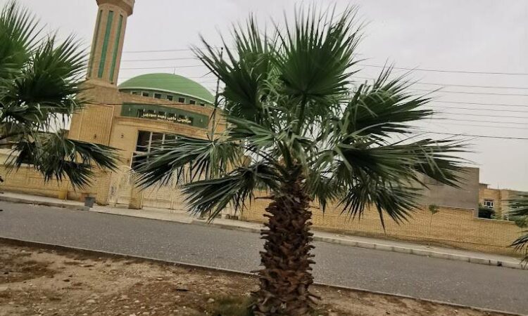 لم يتم العثور علي الصورة