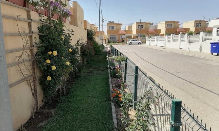 لم يتم العثور علي الصورة