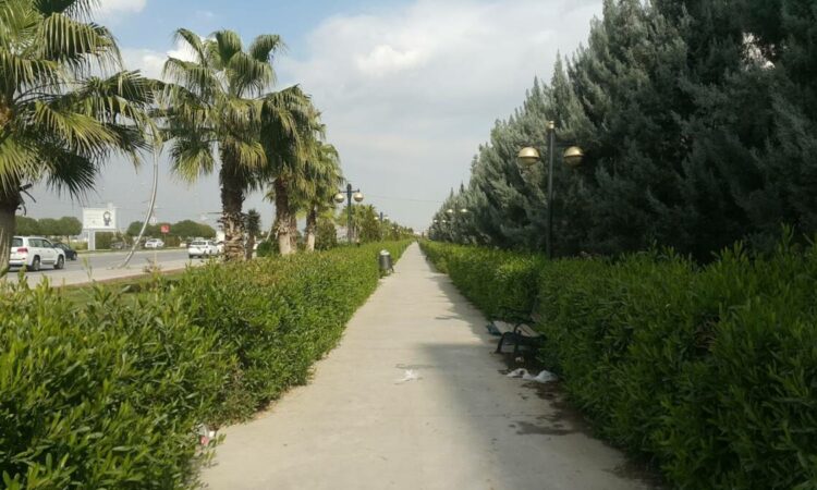 لم يتم العثور علي الصورة