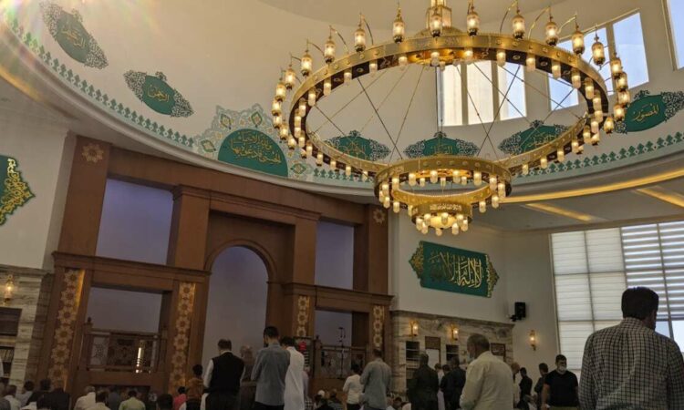 لم يتم العثور علي الصورة