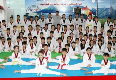 مدرسة هافالان للتايكواندو