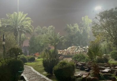 حديقة اليرموك