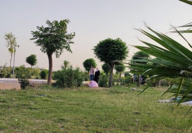حديقة او منتزه حوار