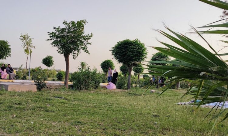 لم يتم العثور علي الصورة