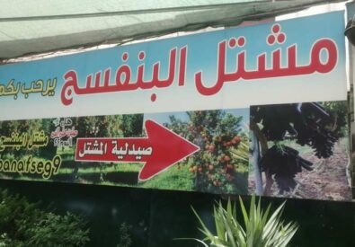 مشتل البنفسج
