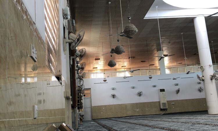 لم يتم العثور علي الصورة