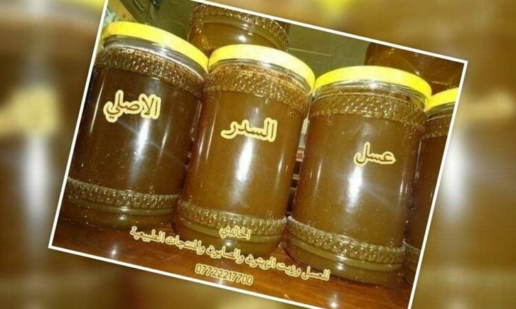 لم يتم العثور علي الصورة
