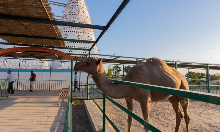 لم يتم العثور علي الصورة