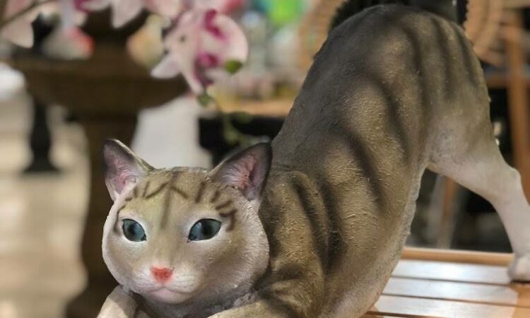 لم يتم العثور علي الصورة