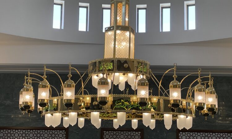 لم يتم العثور علي الصورة