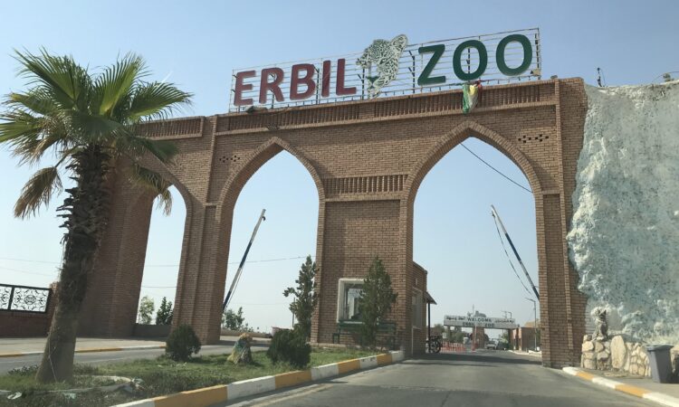 لم يتم العثور علي الصورة