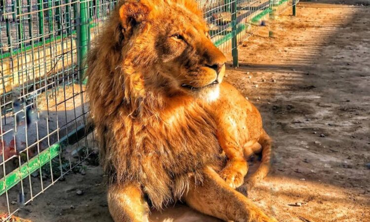 لم يتم العثور علي الصورة