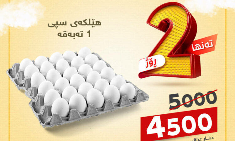 لم يتم العثور علي الصورة