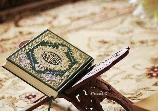 لم يتم العثور علي الصورة