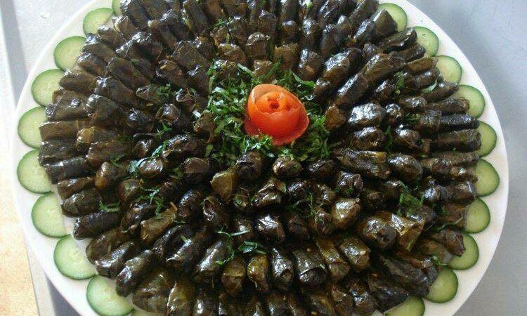 لم يتم العثور علي الصورة