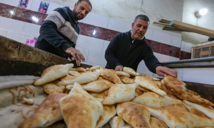 لم يتم العثور علي الصورة
