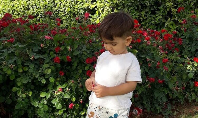 لم يتم العثور علي الصورة