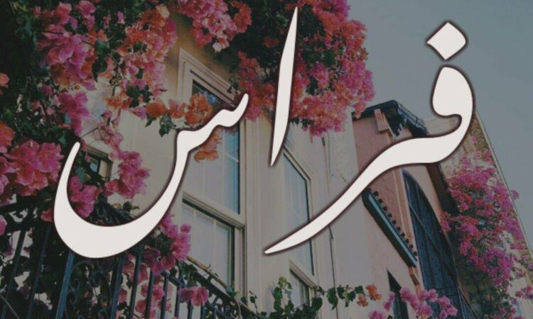 لم يتم العثور علي الصورة