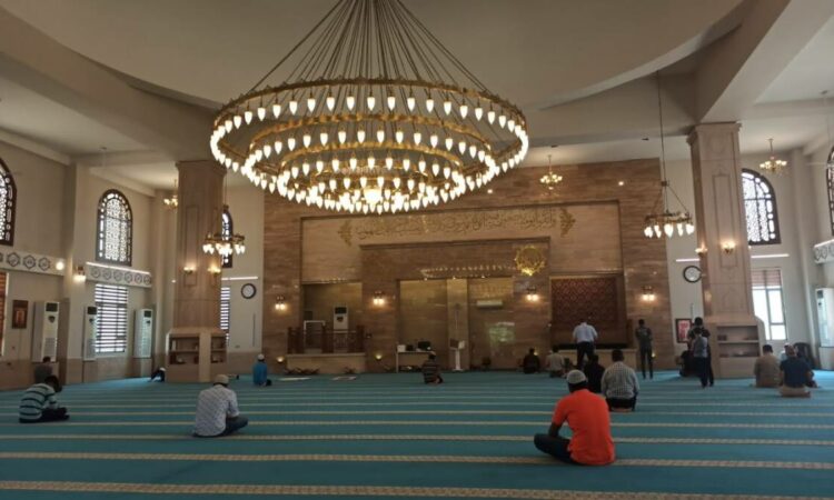 لم يتم العثور علي الصورة